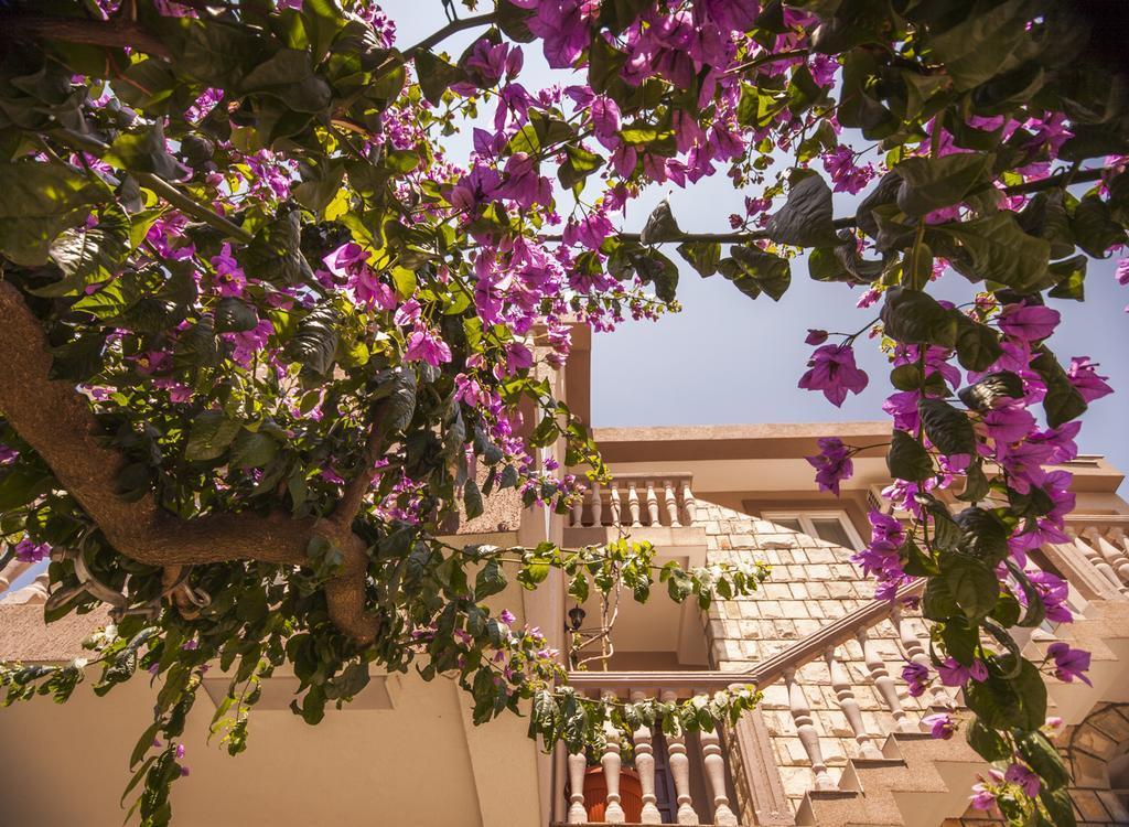 Apartments Abramovic Sutomore Kültér fotó